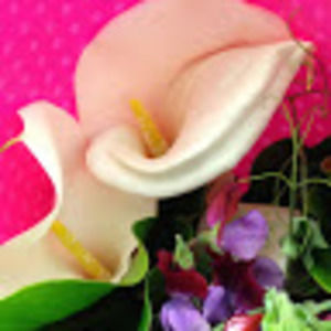 Meet your Posher, Annie